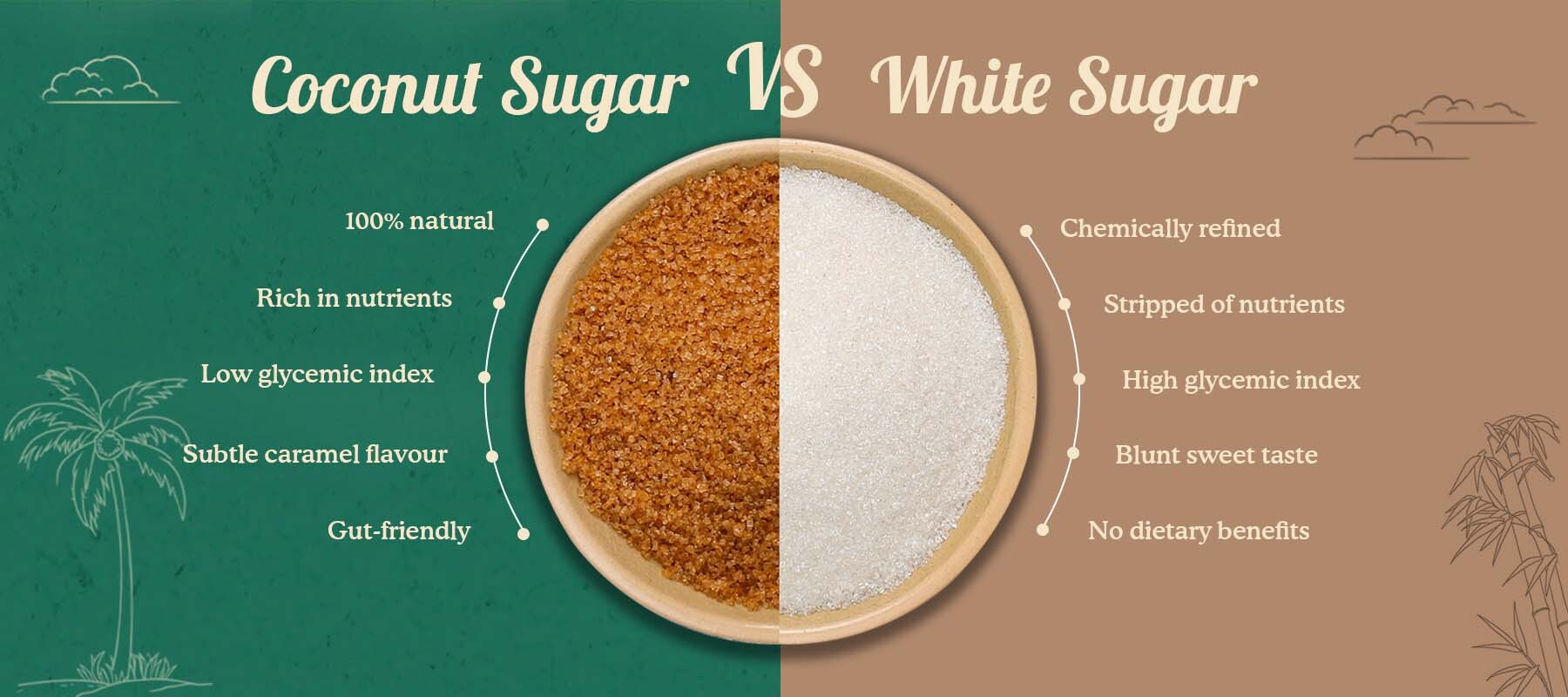 Coconut Sugar vs White Sugar