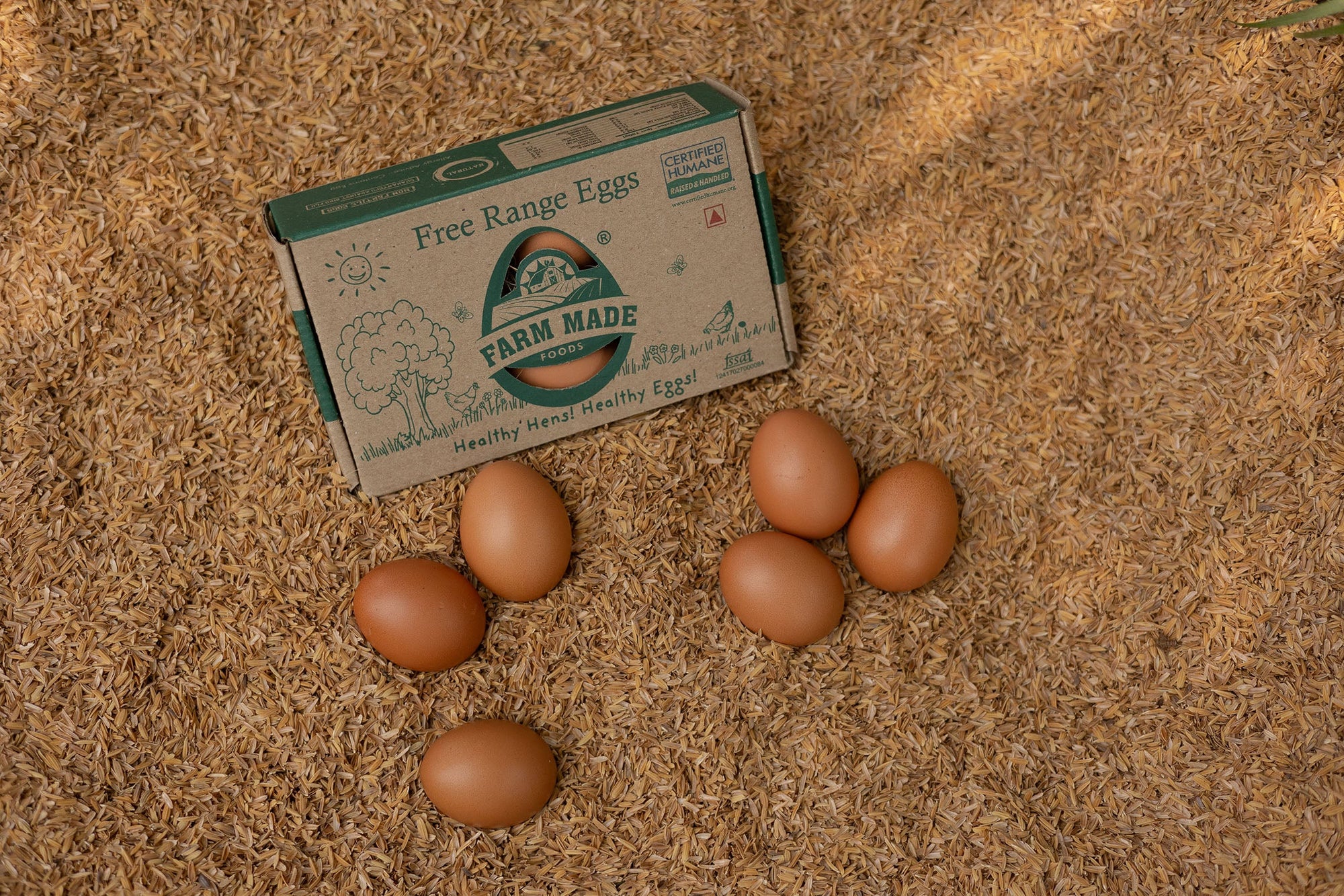 10 Surprising Nutrition Facts About Eggs You Didn’t Know
