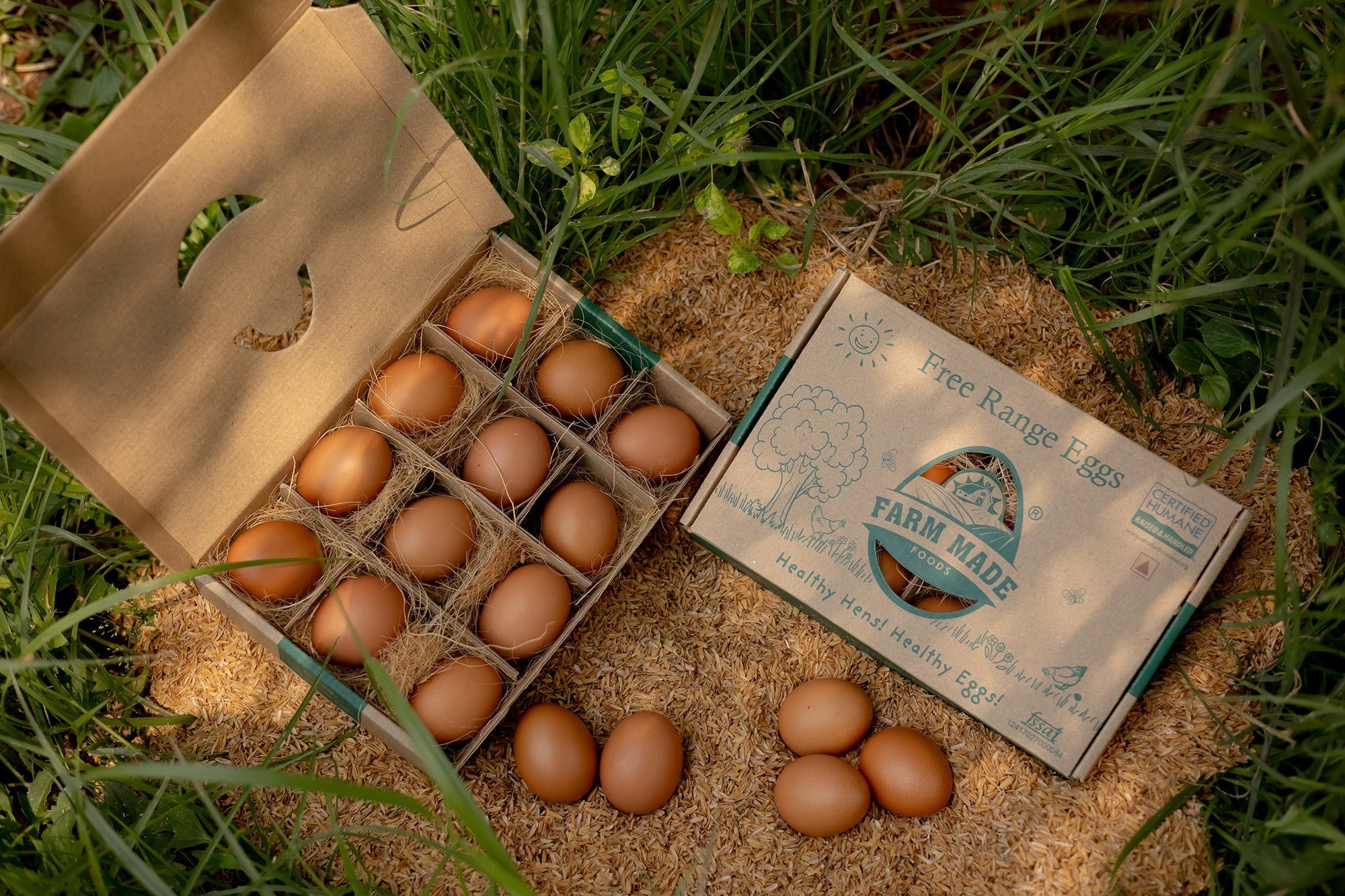 Farm Made Foods Free-Range Eggs Now Deliver Across India Is Your City on the List