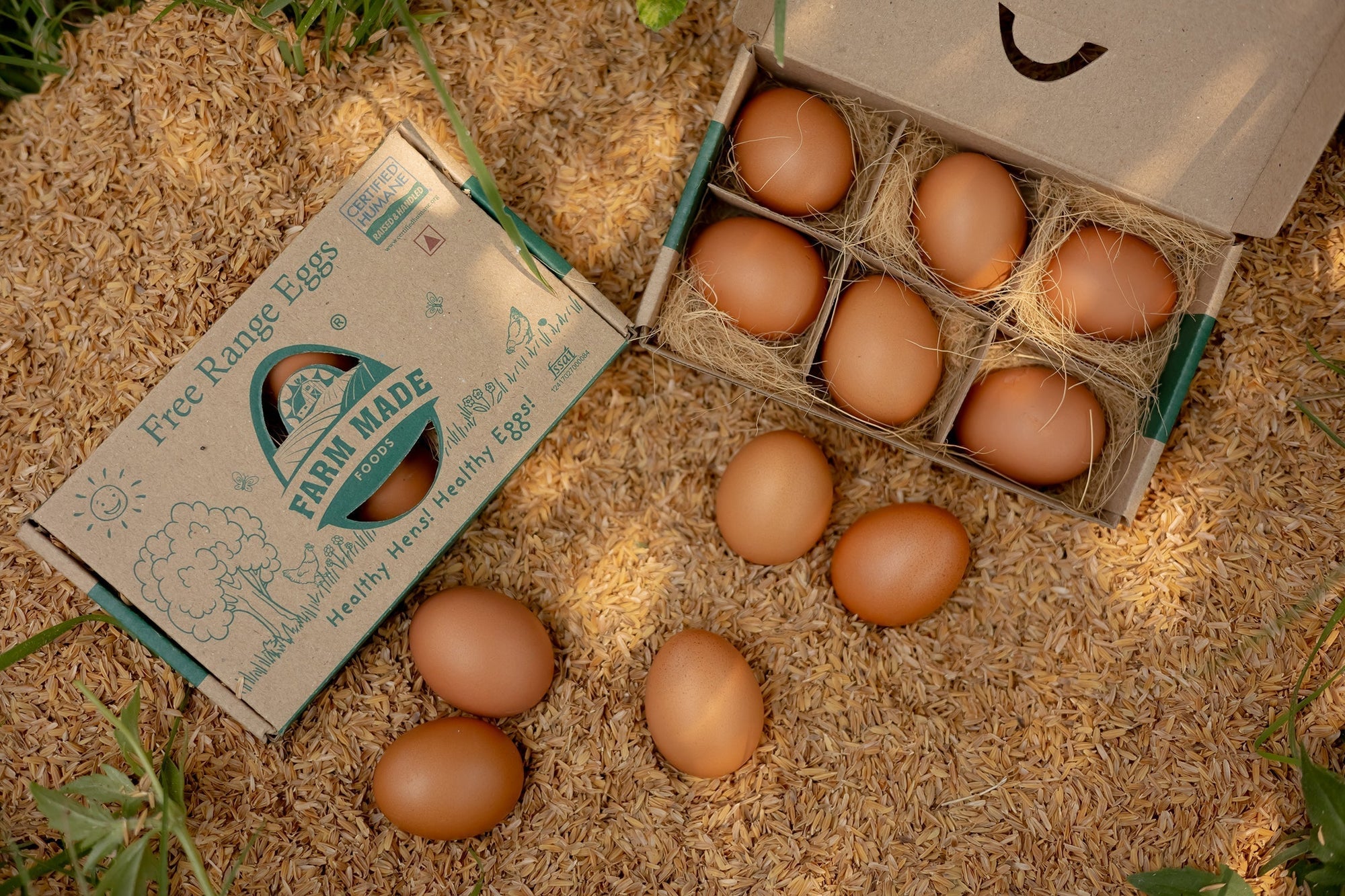 How Much Protein Is in One Egg? Know The Facts!