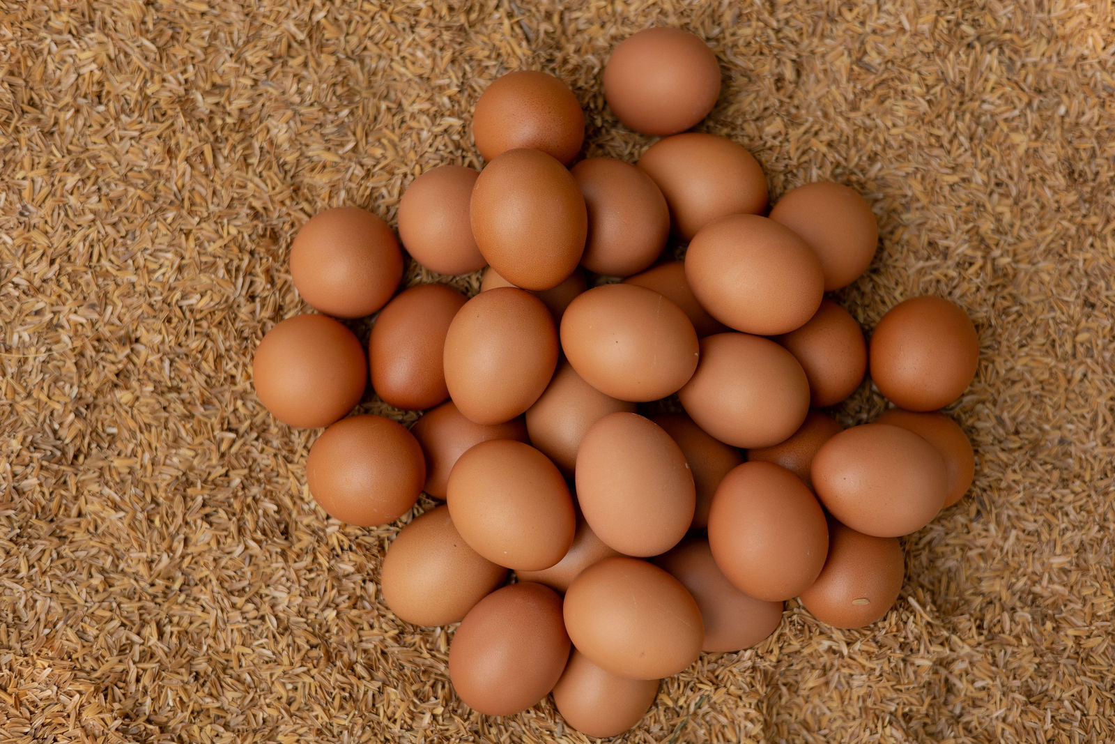 What Happens to Your Body When You Eat Eggs Every Day