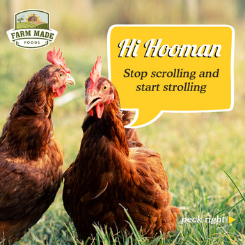Farm Made Foods - Free Range Eggs, Coconut Candy, Ladoo & Sugar